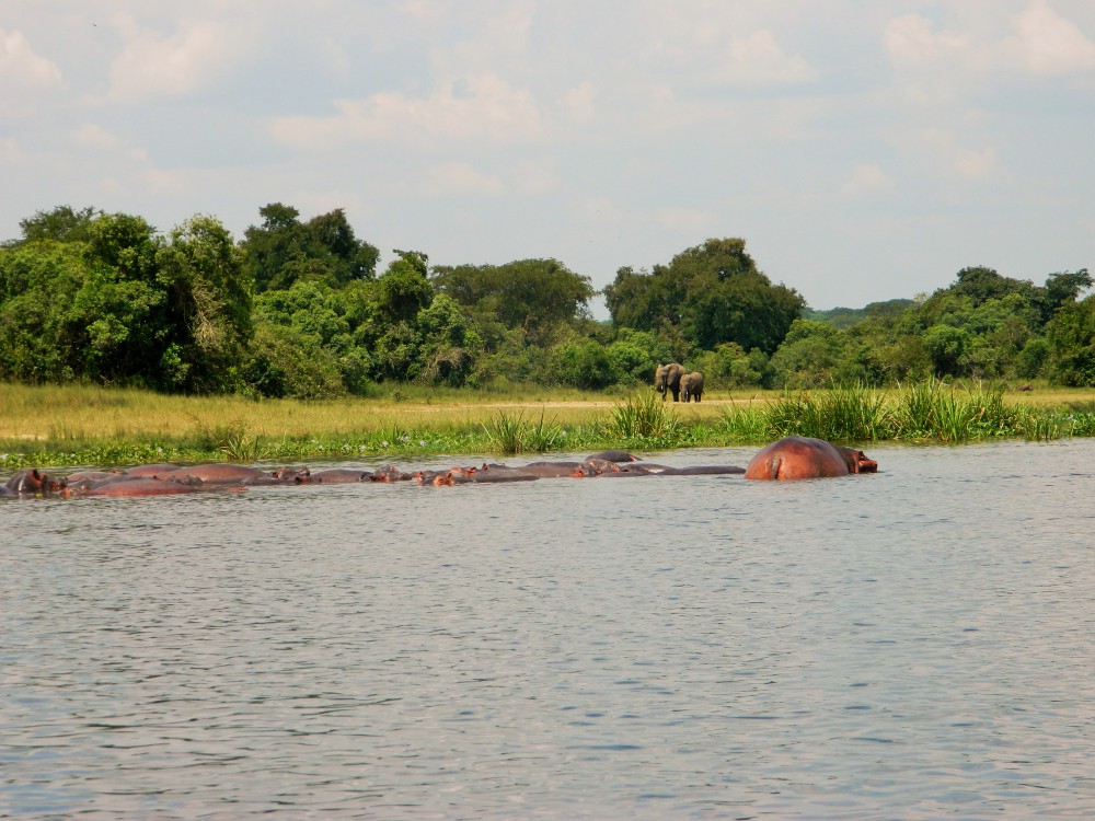 Murchison Falls Nationalpark