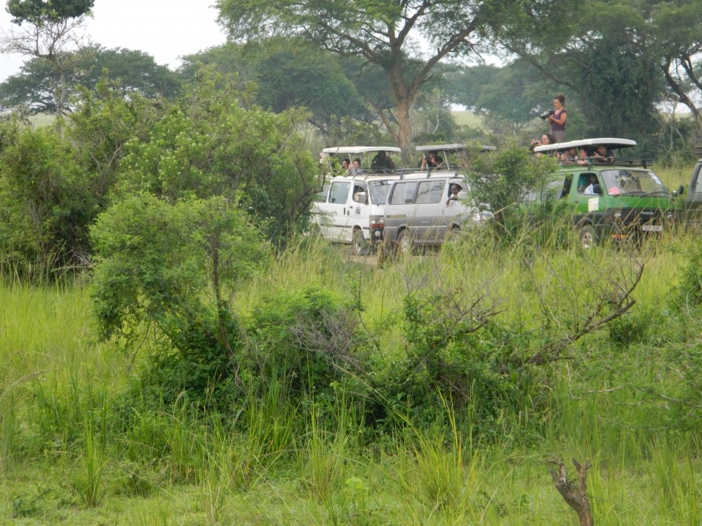 Murchison Falls Nationalpark