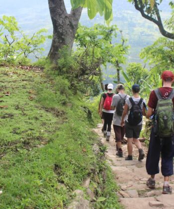 Straßenhunde & Social Trekking – Bild 12