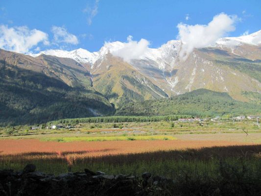 Wälder und Felder vor dem Annapurna-Massiv