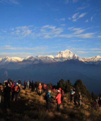Viele Menschen stehen auf einem grasbewachsenen Abhang und schauen zu den schneebedeckten Gipfeln