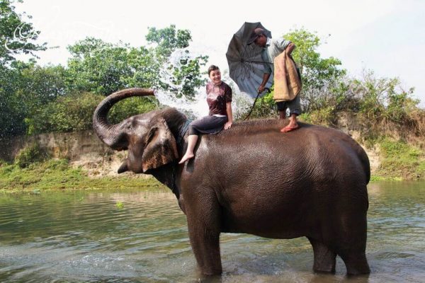 Frau wird von Elefant mit Wasser angespritzt