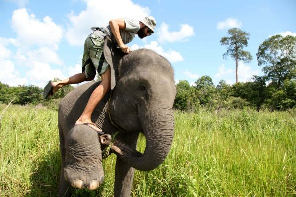 Mahout steigt auf einen Elefanten