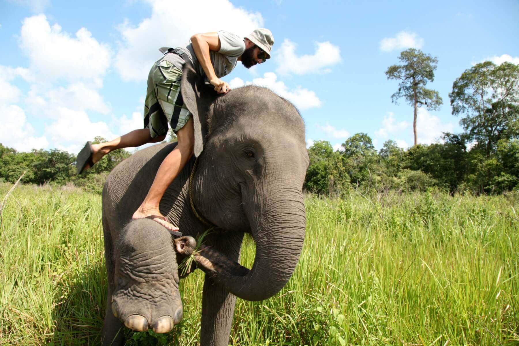 Mahout steigt auf einen Elefanten