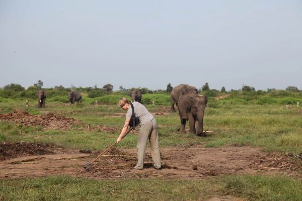 Volontär bei der Arbeit im Elefantencamp