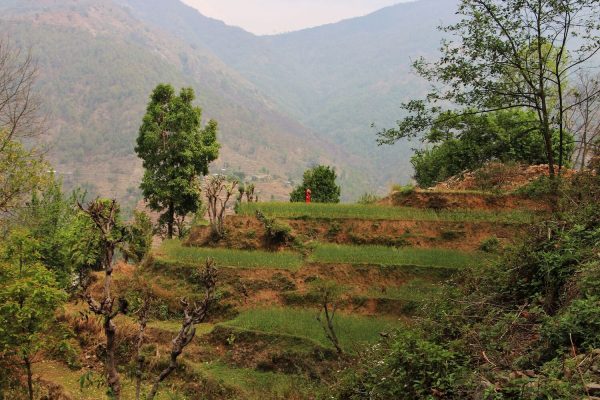 Landschaft in Gaujini