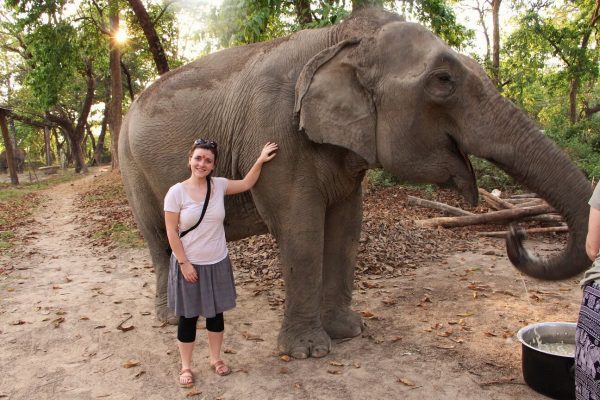 Frau streichelt trinkenden Elefant