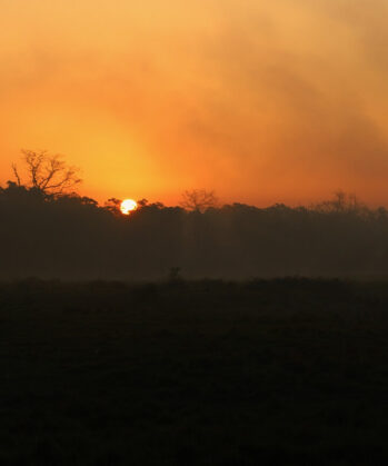 Sonnenuntergang im Nationalpark in Chitwan