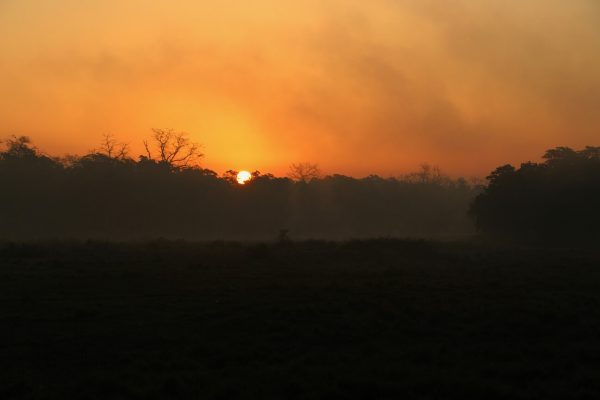 Sonnenuntergang im Nationalpark in Chitwan