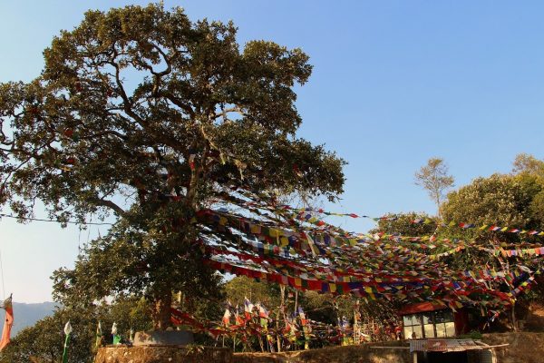 Bunte Gebetsfahnen in Nagi Gumba