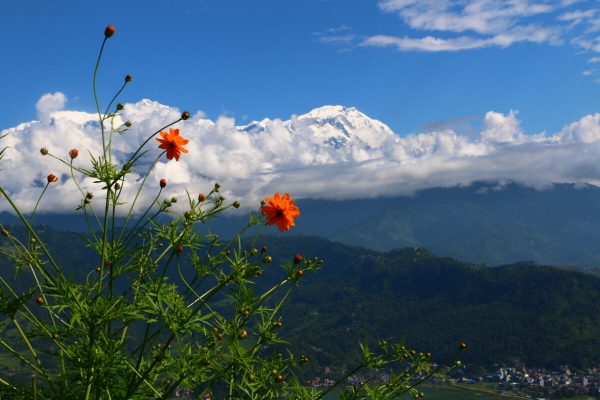 Nepal frau kennenlernen