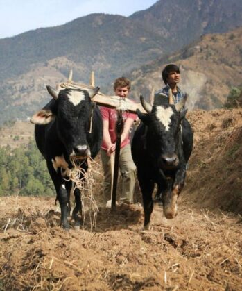 Farming in Nepal