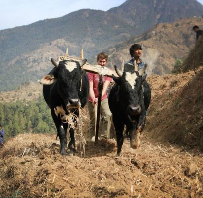 Farming in Nepal
