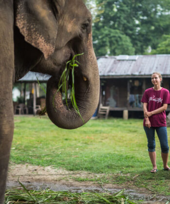 Upgrade: Elefanten-Experience Chitwan – Bild 3