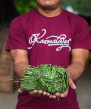 Upgrade: Elefanten-Experience Chitwan – Bild 5