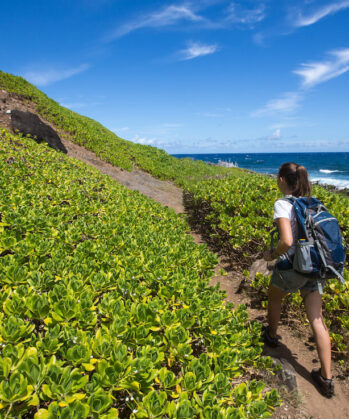Englisch-Sprachkurs HAWAII – Bild 2