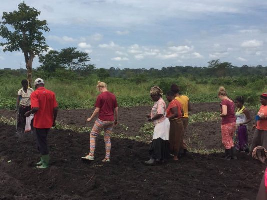Volontäre & Einheimische beim Farming in Uganda
