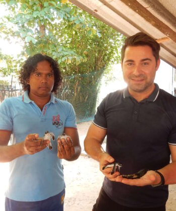 Meeresschildkröten-Schutzprojekt SRI LANKA – Bild 5