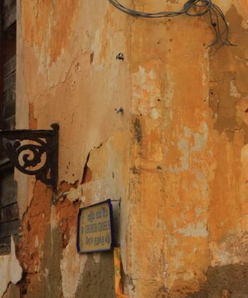 Yoga-Abenteuerreise - SRI LANKA – Bild 13