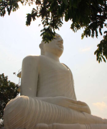 Yoga-Abenteuerreise - SRI LANKA – Bild 14