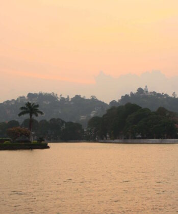 Yoga-Abenteuerreise - SRI LANKA – Bild 15