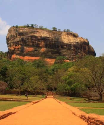 Yoga-Abenteuerreise - SRI LANKA – Bild 17