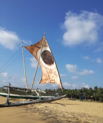 Yoga-Abenteuerreise - SRI LANKA – Bild 8