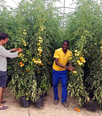 Allrounder Sozialprojekt mit Farming SÜDAFRIKA – Bild 2