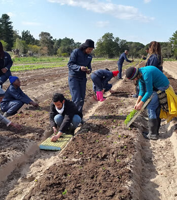 Allrounder Sozialprojekt mit Farming SÜDAFRIKA – Bild 5
