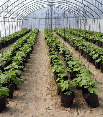 Allrounder Sozialprojekt mit Farming SÜDAFRIKA – Bild 8