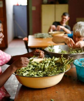 Allrounder Sozialprojekt mit Farming SÜDAFRIKA – Bild 4