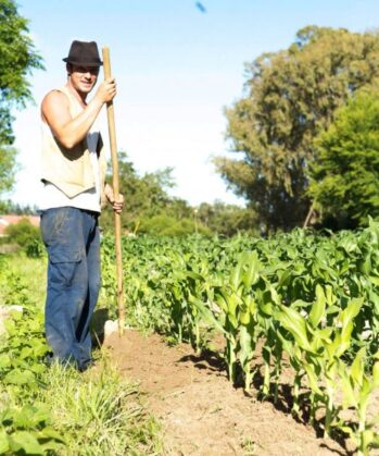 Allrounder Sozialprojekt mit Farming SÜDAFRIKA – Bild 3
