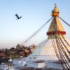 Vogel kreist an der Stupa von Bodnath in Kathmandu