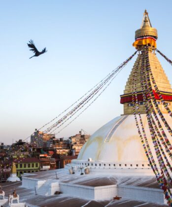 Vogel kreist an der Stupa von Bodnath in Kathmandu