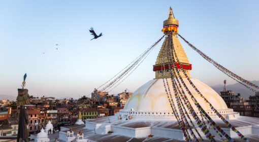 Vogel kreist an der Stupa von Bodnath in Kathmandu