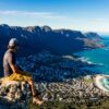 Mann blickt vom Tafelberg auf Kapstadt hinunter