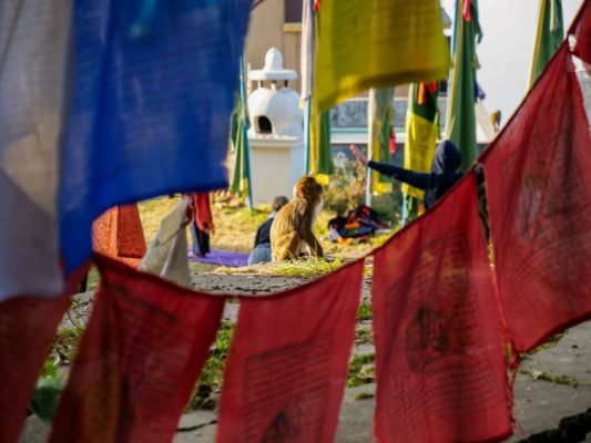 Gebetsfahnen im Kloster in Nepal