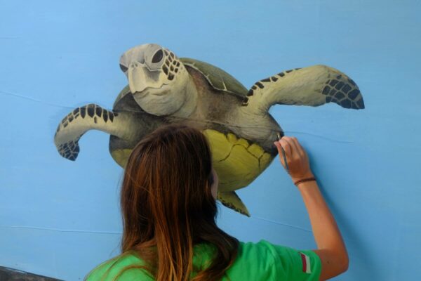 Volontärin zeichnet Meeresschildkröte an die Wand