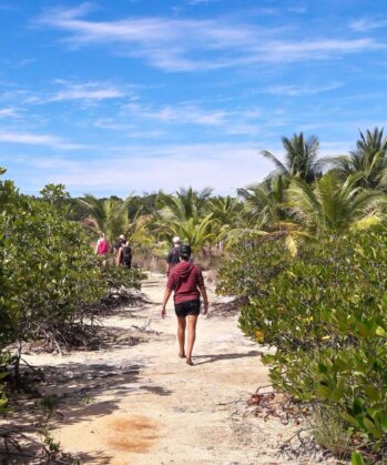 Volunteers walking in nature