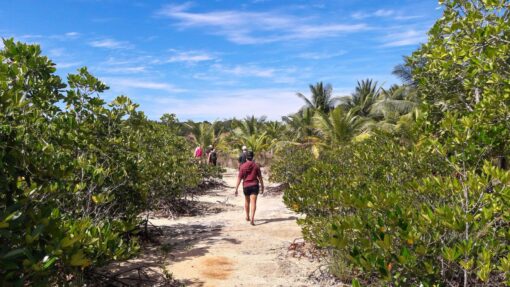 Volunteers walking in nature