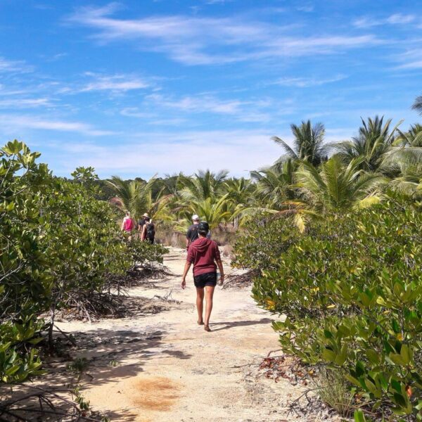 Volunteers walking in nature