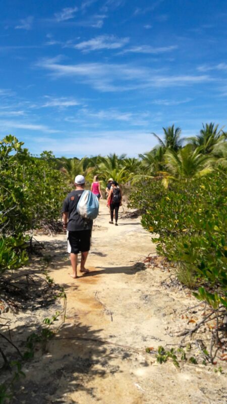 Volunteers walking in nature