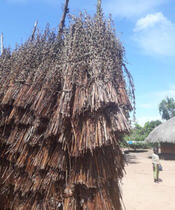 Sesam ernte dich - Spurensuche & Begegnungsreise UGANDA – Bild 6
