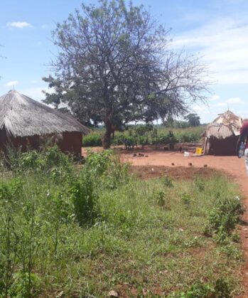 Sesam ernte dich - Spurensuche & Begegnungsreise UGANDA – Bild 29