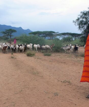 Maasai Experience TANSANIA – Bild 2