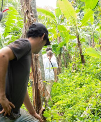 Volontär auf Plantain Plantage in Costa Rica